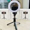 Selfie stick Tripod Ring Light (P40D)